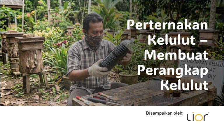 Perternakan Kelulut – Membuat Perangkap Kelulut – Lior Farm