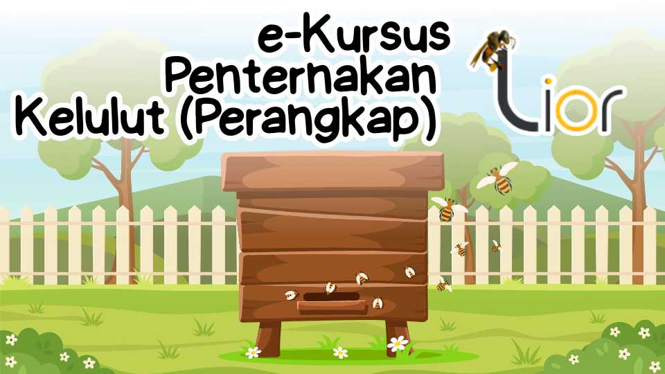 Penternakan Kelulut (Perangkap) Anjuran Lior Farm